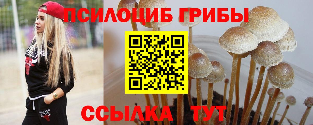 Псилоцибиновые грибы GOLDEN TEACHER  Галлюциногенные грибы Psilocybine cubensis  Лосино-Петровский  Вход с VPN 